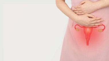 Rahim ve yumurtalık anatomisi olan pelvis ağrısı çeken bir kadın. Ağrı, dismenorrhea, edometriyozis, PCOS, PMS, cinsel yolla bulaşan hastalıklar, jinekolojik kanser. Üreme sistemi ve kadın sağlığı sorunları.