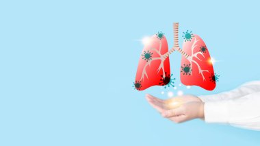 Doktor elleri mavi arka planda virüs enfeksiyonu olan akciğer organını tutuyor. Grip, koronavirüs veya solunum sinsityal virüsü (RSV) gibi teşhis ve tedavi tüpü pnömonisi).