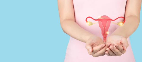 Healthy Uterus Ovaries Anatomy Female Hands Awareness Women Health Care — Foto de Stock