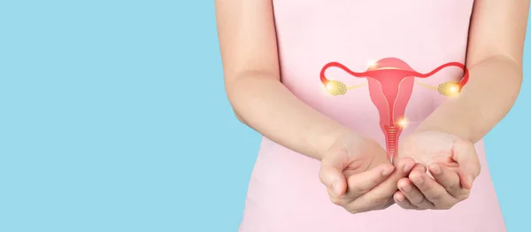 Healthy uterus and ovaries anatomy on female hands. Awareness of women health care such as endometriosis disease, PCOS, STDs, ovarian or cervical cancer screening. Gynecology and reproductive system.