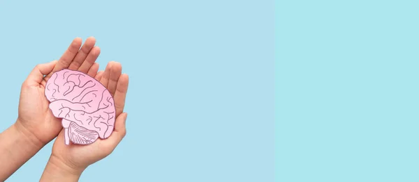 Woman hands holding human brain shape made from paper on light blue background. Awareness of Alzheimer, Parkinson\'s disease, dementia, stroke, seizure or mental health. Neurology and Psychology care.
