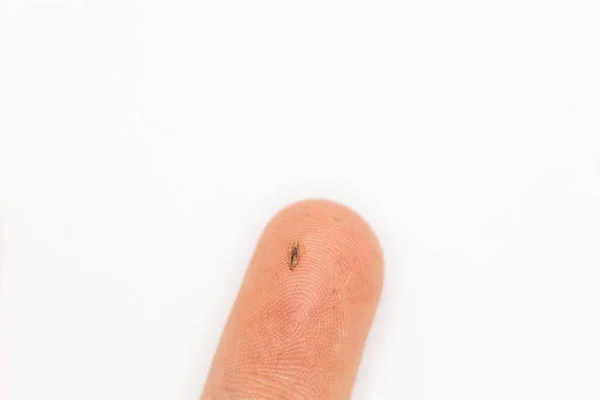 Bir çocuğun saçında bit bulunduğunda parmağında bit olan bir insan.