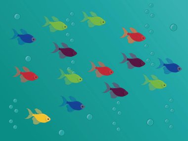 Farklı renkler tetra glofish okulu vektör illüstrasyonu