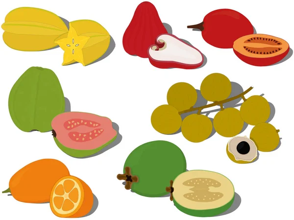 Exotické Tropické Sladké Fruts Kolekce Vektorové Ilustrace — Stockový vektor