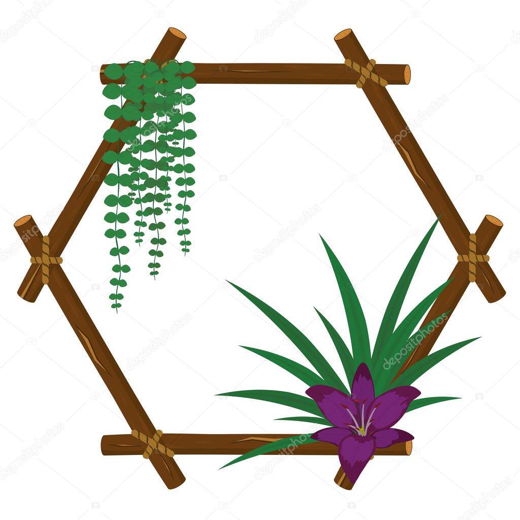 Hexagonal wood branch frame with string of nickels and lily purple flower vector illustration