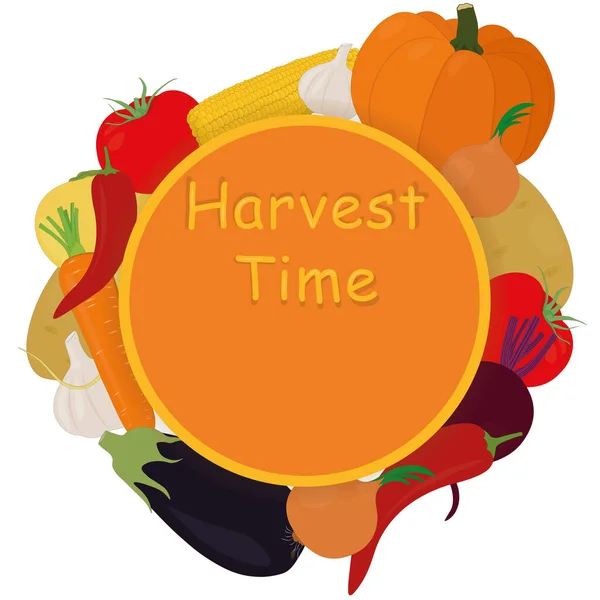 Harvest Time Vegetables Collection Circle Frame Copy Space Vector Illustration — Stock vektor