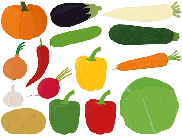 Various Vegetables Harvest Collection Vector Illustration — Stock vektor