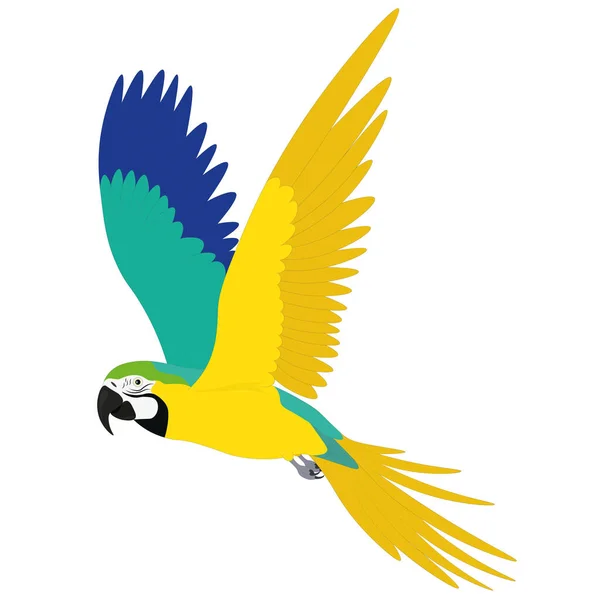 Niebieski Żółty Zielony Macaw Papuga Ruchu Wektor Ilustracja — Wektor stockowy