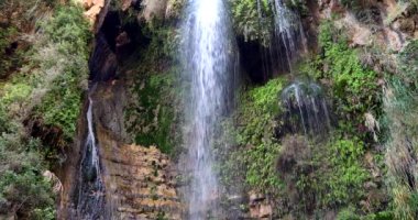 İsrail 'in Ein Gedi çölünde şelale. 