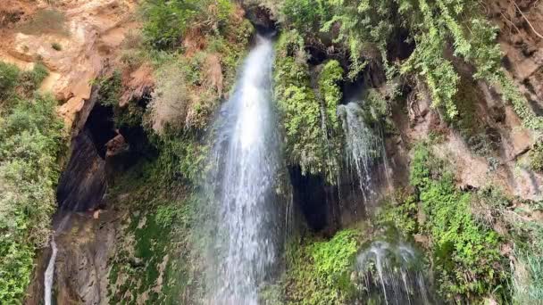 Cascada Desierto Ein Gedi Israel — Vídeos de Stock