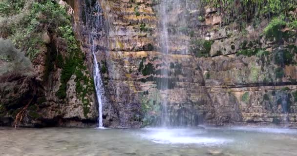 Cachoeira Deserto Ein Gedi Israel — Vídeo de Stock
