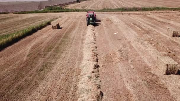 Mezőgazdasági Munkák Szénagyűjteménye Nyári Szántóföldön — Stock videók