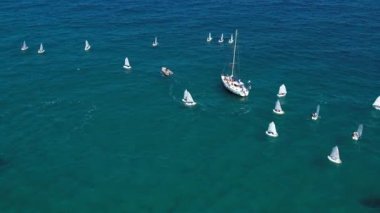 Sailboats in different sizes at sea.