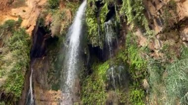 İsrail 'in Ein Gedi çölünde şelale. 