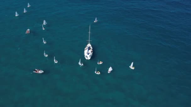 Sailboats Different Sizes Sea — Stockvideo