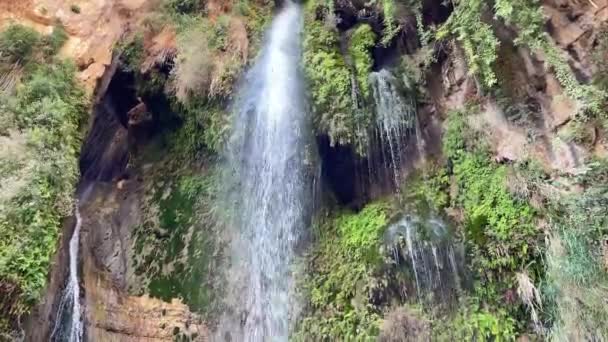 Καταρράκτης Στην Έρημο Ein Gedi Ισραήλ — Αρχείο Βίντεο