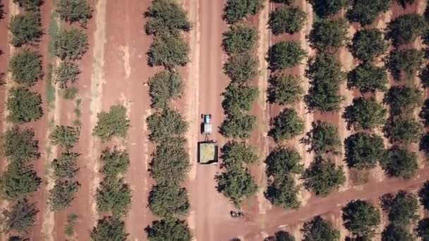 Trator Azul Reboque Carregado Cruzando Campo Árvore Agricultura Paisagem Agrícola — Vídeo de Stock