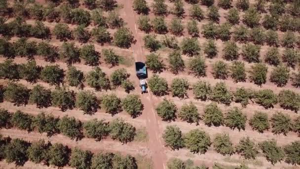 Trator Azul Reboque Cruzando Campo Árvore Agrícola Paisagem Agrícola — Vídeo de Stock