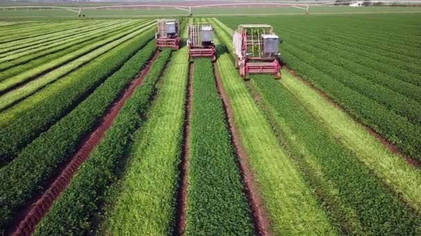Trois Machines Agricoles Récoltant Des Herbes Dans Champ Agricole Vert — Video