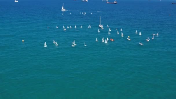 Sailboats Different Sizes Sea — Vídeos de Stock