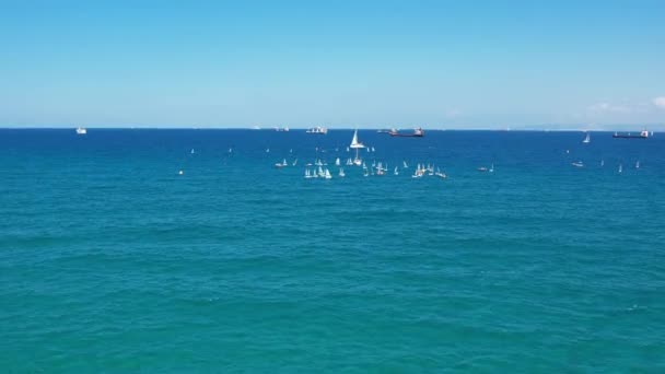 Sailboats Different Sizes Sea — Stockvideo