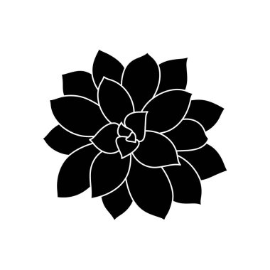 Basit bir şekilde sulu echeveria, vektör illüstrasyonu. Baskı ve tasarım için çöl çiçeği. Siluet Meksika bitkisi, beyaz arka planda görsel izole element. Dekorasyon için ev bitkisi