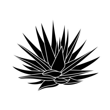 Basit bir şekilde sulu agave, vektör illüstrasyonu. Baskı ve tasarım için çöl çiçeği. Siluet Meksika bitkisi, beyaz arka planda görsel olarak izole edilmiş element. Dekorasyon için ev bitkisi