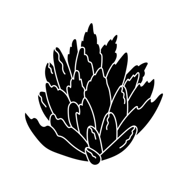 Sukkulente Kalanchoe im einfachen Stil, Vektorillustration. Wüstenblume für Druck und Design. Silhouette mexikanische Pflanze, grafisches isoliertes Element auf weißem Hintergrund. Zimmerpflanze für den Dekorationsbereich — Stockvektor