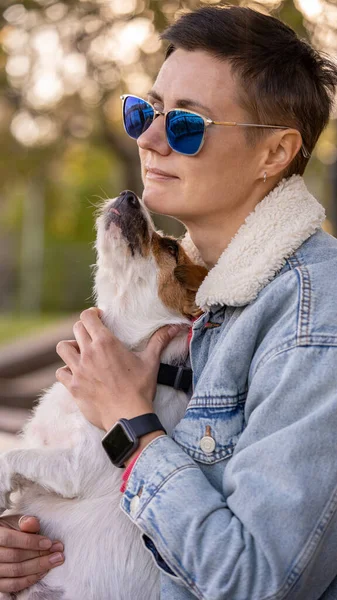 Funny fat jack russell terrier. Woman sitting on bench and holding dog. Outdoors, walk with pet
