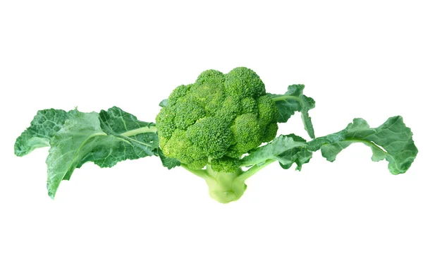 Brócoli verde — Foto de Stock