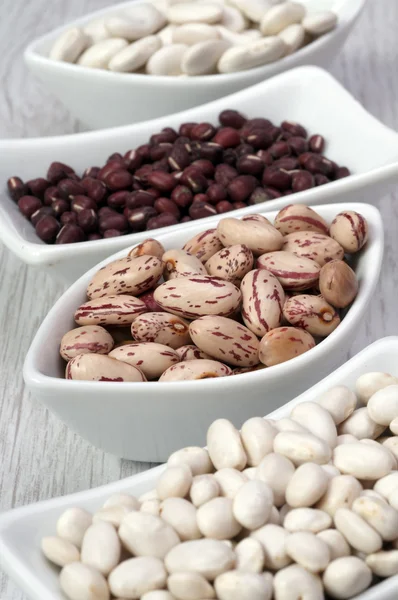 Different type of beans — Stock Photo, Image