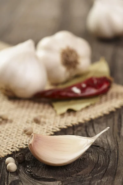 Knoblauch mit Gewürzen — Stockfoto