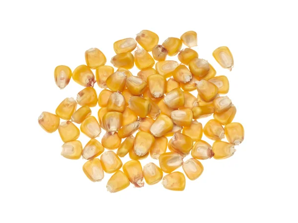 Grano de maíz amarillo — Foto de Stock
