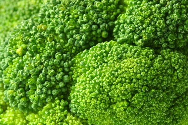 Broccoli achtergrond — Stockfoto