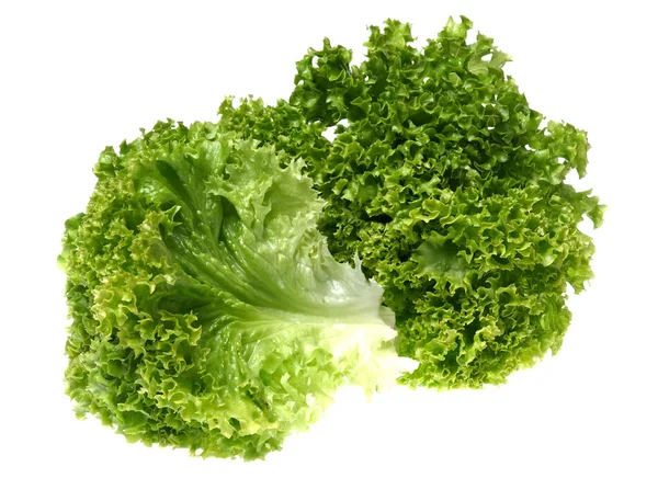 Grøn salat grøntsager - Stock-foto