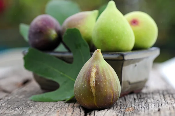 Fresh figs — Stock Photo, Image