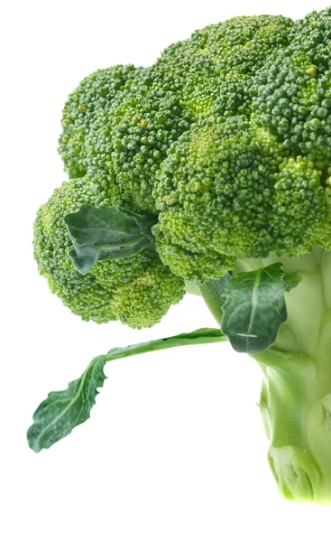 Zelené brokolice — Stock fotografie