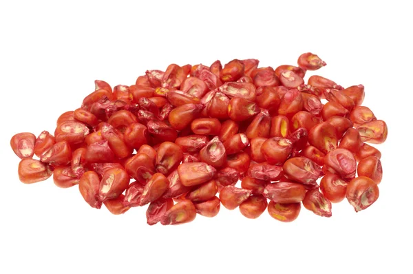 Corn seeds — Stok fotoğraf