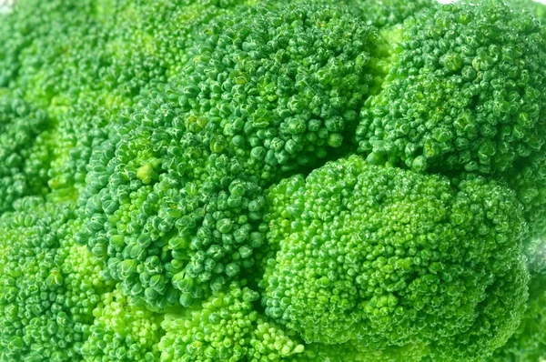 Broccoli baggrund - Stock-foto