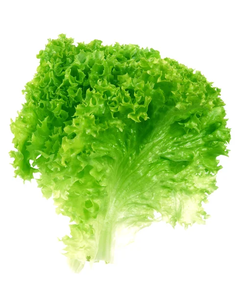 Green salad vegetable — Stock Photo, Image