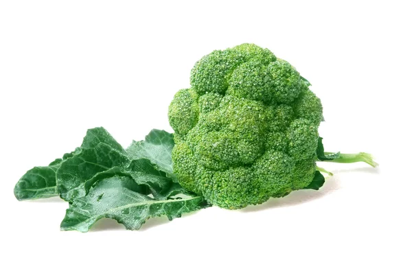 Groene broccoli — Stockfoto