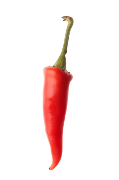 Rote Chilischote — Stockfoto