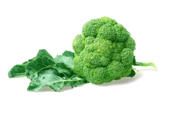 녹색 브로콜리 — 스톡 사진