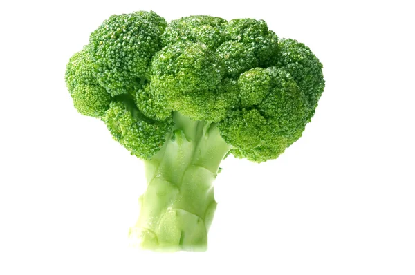 Gröna broccoli — Stockfoto