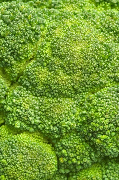 Broccoli sfondo — Foto Stock