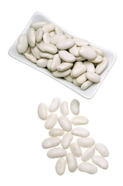 Cannellini beans or Haricot — Stock Photo, Image