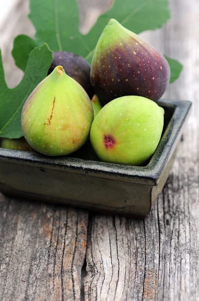 Fresh figs — Stock Photo, Image