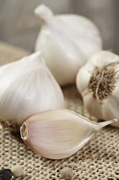 Bio-Knoblauch — Stockfoto