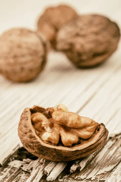 Nueces secas — Foto de Stock