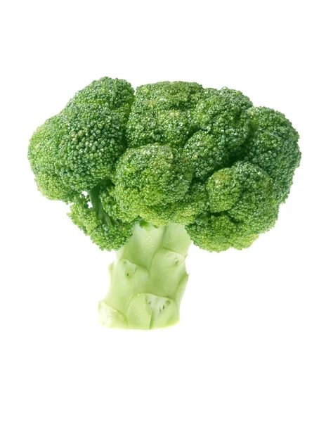 Brócolos verdes — Fotografia de Stock